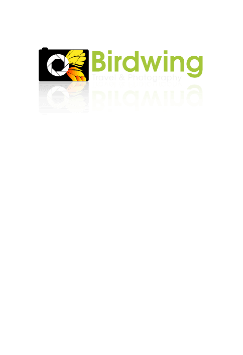 Birdwing - LOGO DESIGN PORTFOLIO